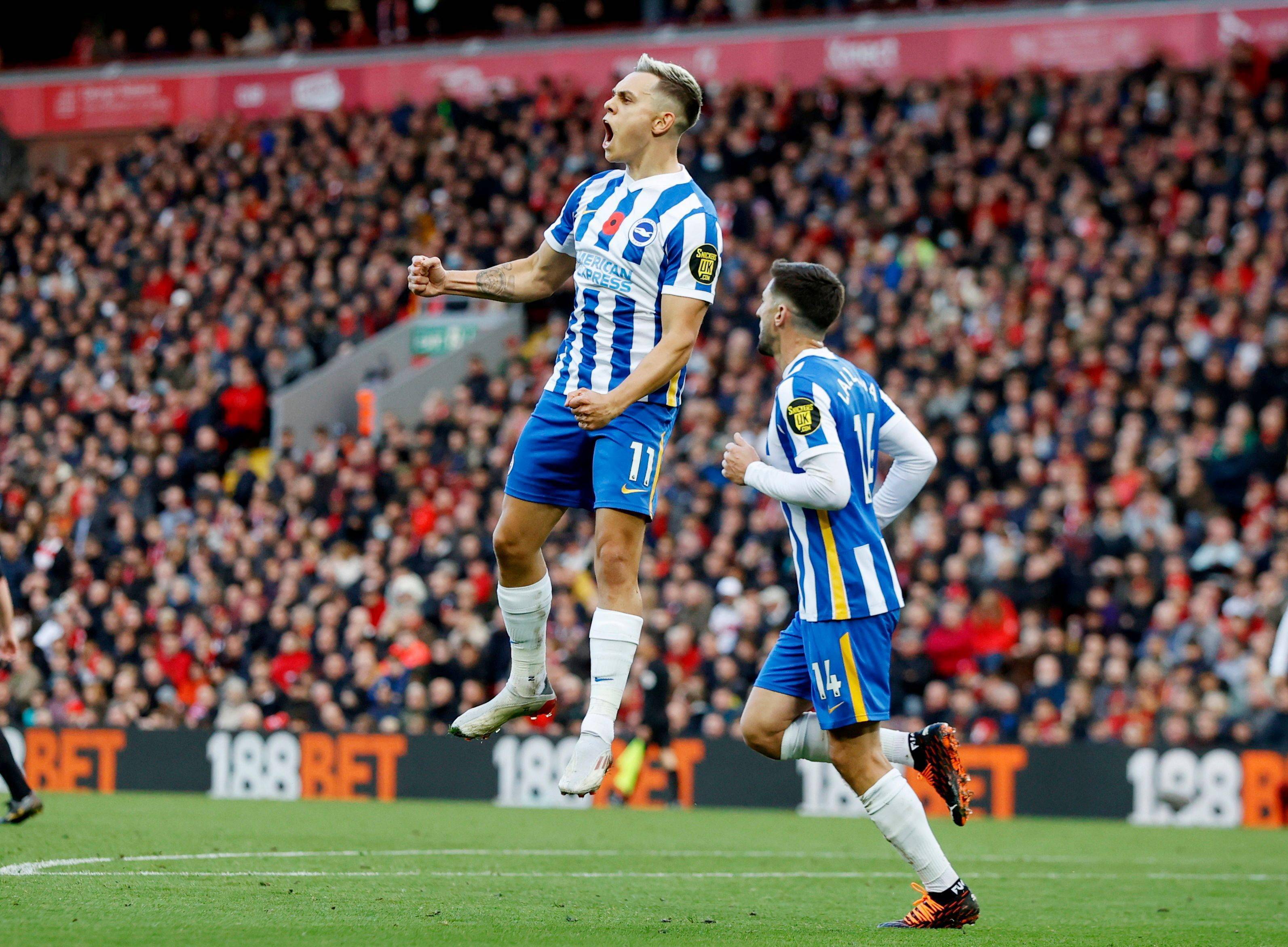 的对抗中 的对抗中